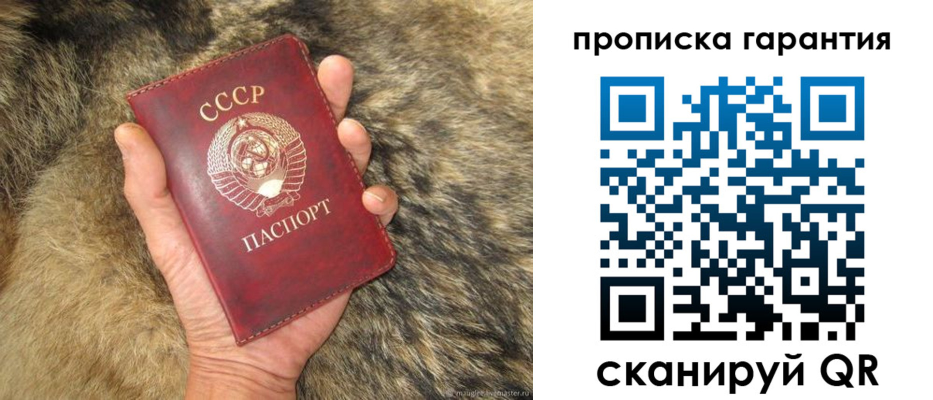 временная регистрация гарантия в Братске